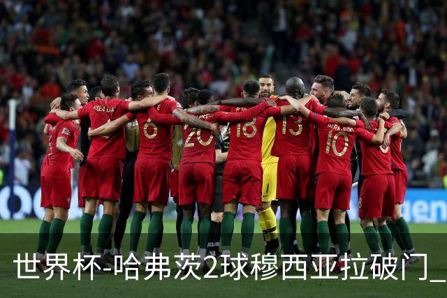 世界杯-哈弗茨2球穆西亚拉破门 德国全面开花7-1库拉索
